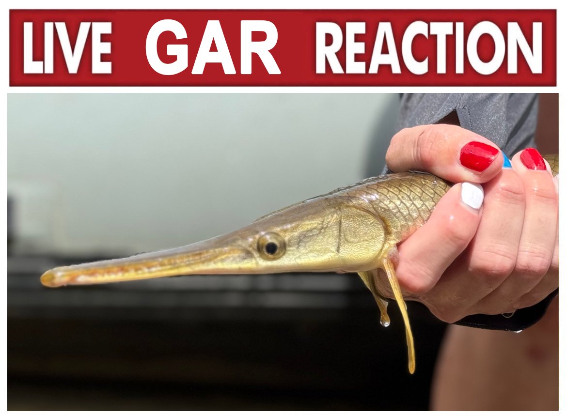 Zooey Glass tweet media