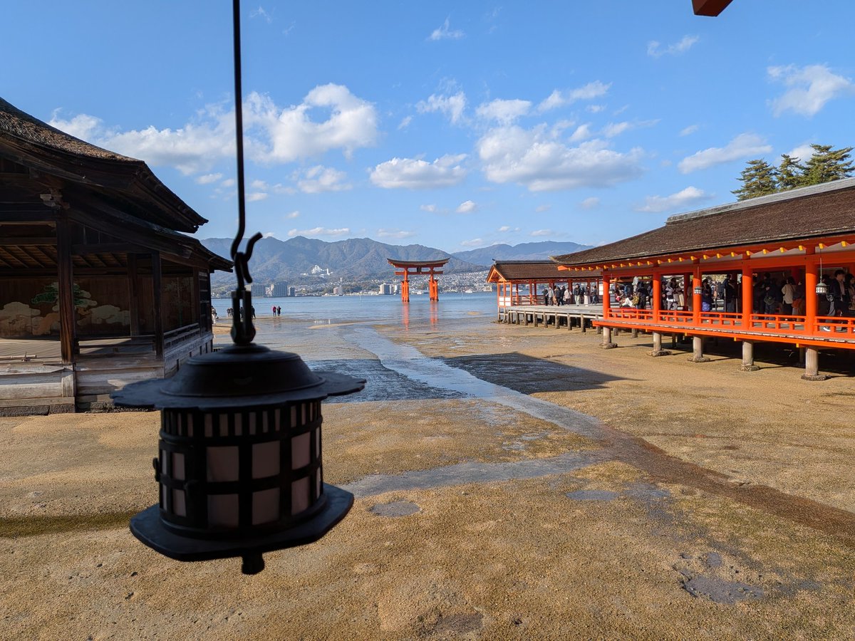 taro taro (@tarotar57126480) / Posts / X