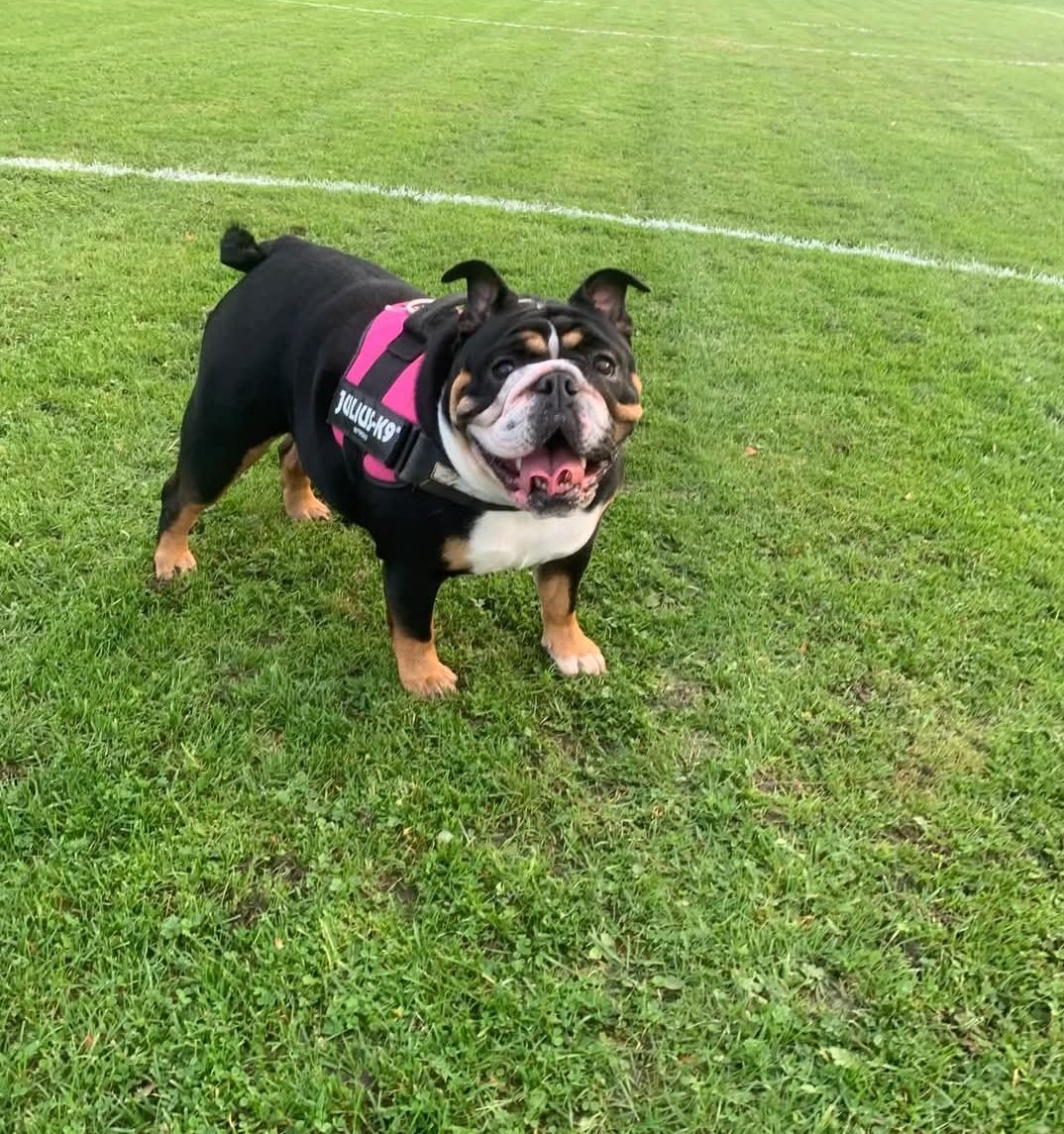 The Edward Foundation tweet media