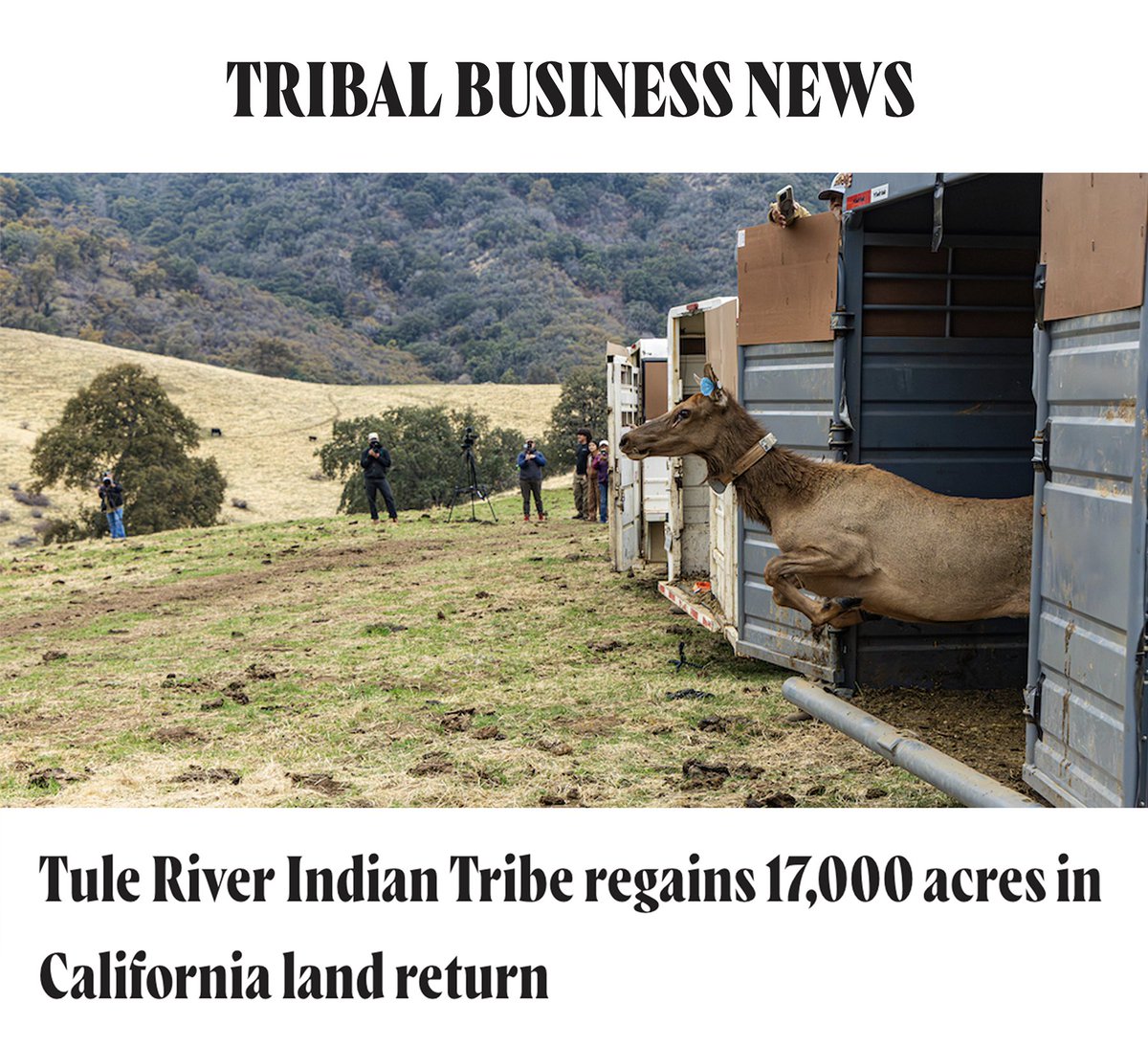 FNDI303's tweet image. Earlier this month, California Gov. Gavin Newsom announced the return of 17,030 acres of land to the Tule River Indian Tribe. As a First Nations community partner, Tule River Indian Tribe is also improving riparian and aquatic ecosystems: bit.ly/442hwe1