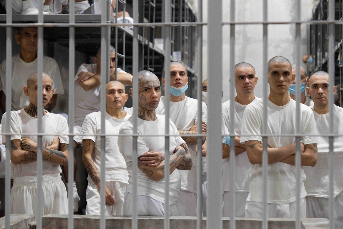 Perfect candidate for CECOT. Why should USA waste money imprisoning him here, when El Salvador can do it cheaper for us?