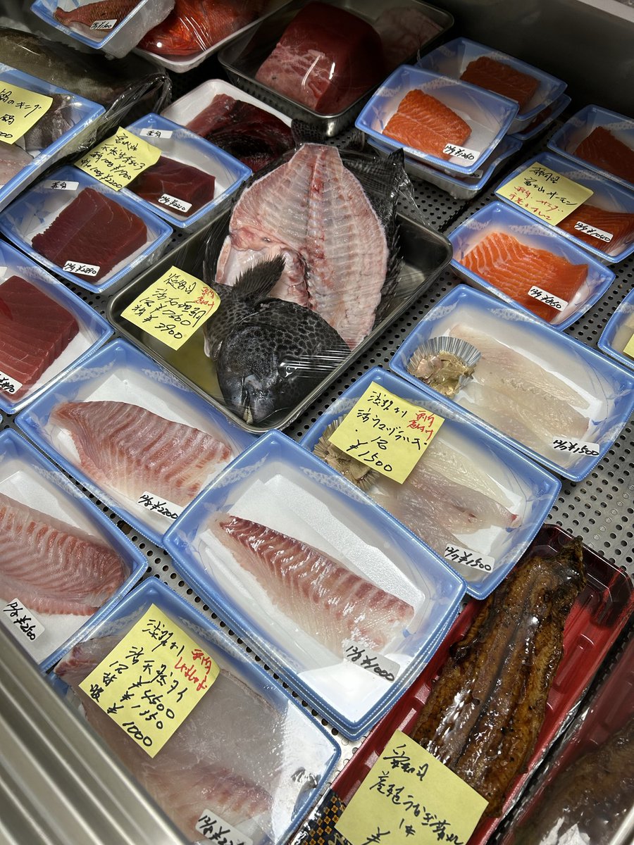 魚虎 うおとら (@uotora2024) / Posts / X