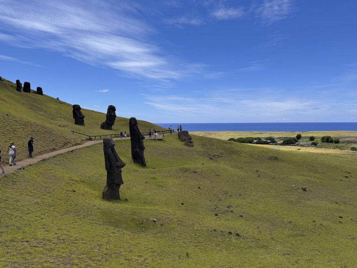 defibricks tweet media