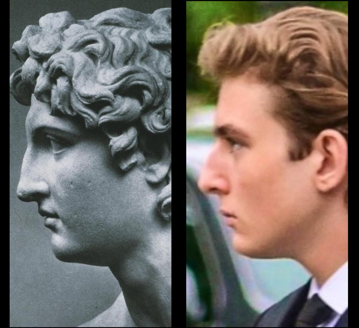 The Conservative Alternative tweet media