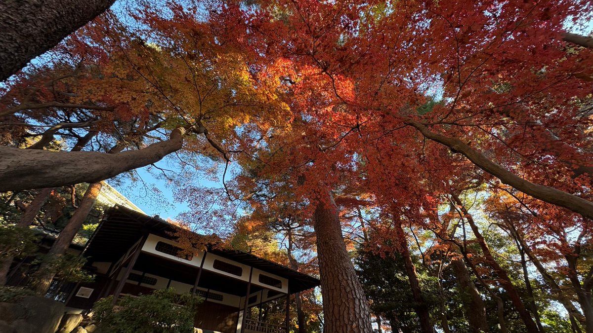 殿ヶ谷戸庭園 (@TonogayatoTeien) / Posts / X