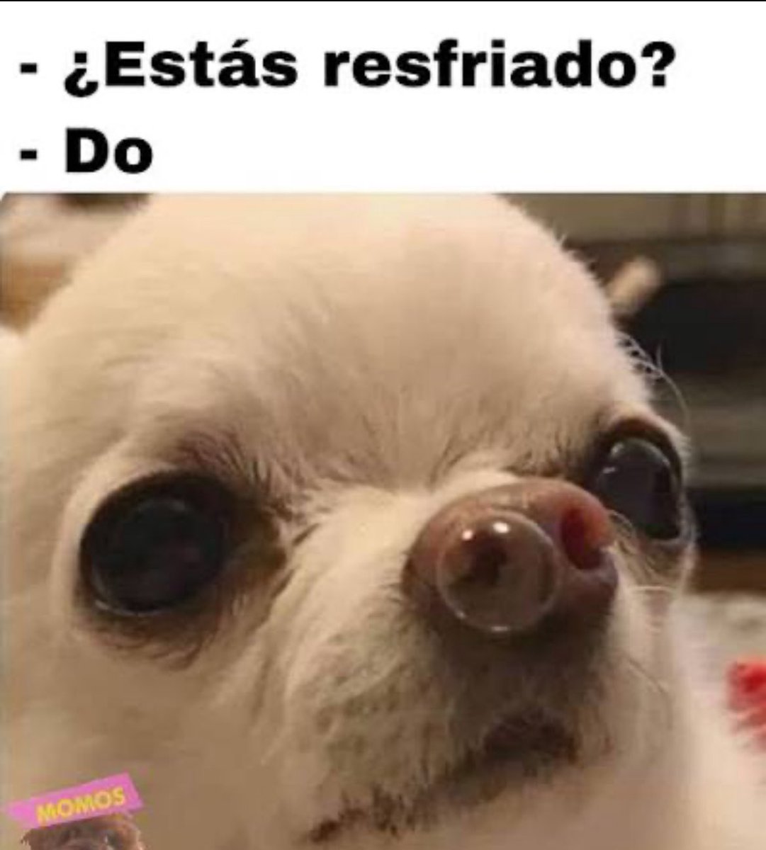 Agendo 3 shows en diciembre
Automáticamente yo