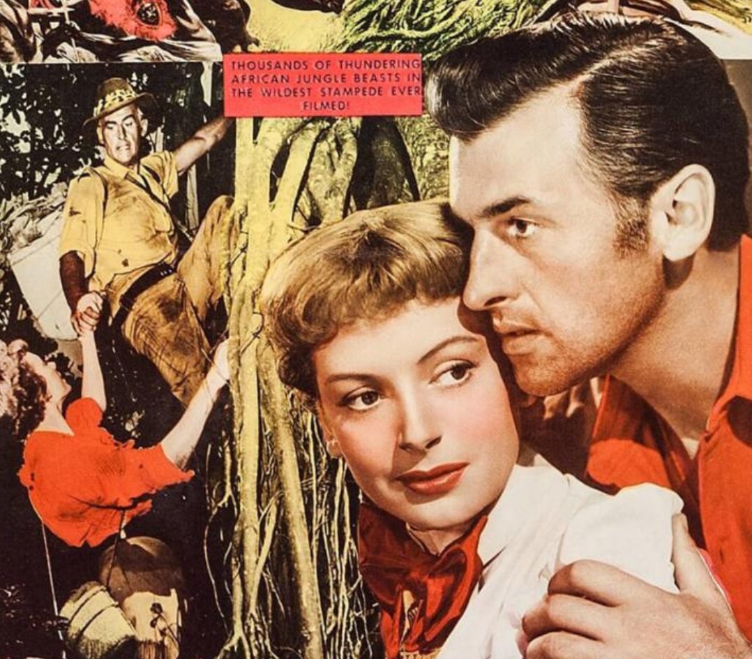 Heeding the call to adventure tonight