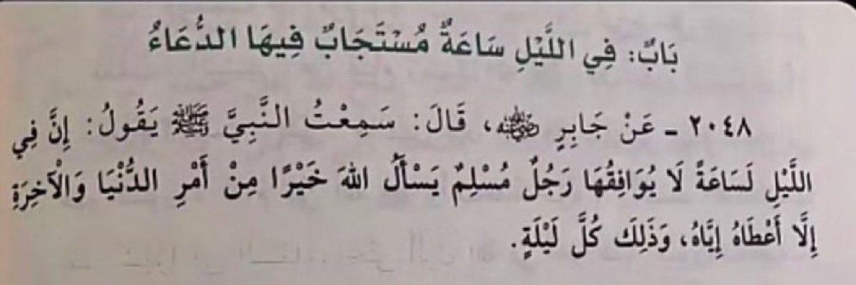 alhal23's tweet image. لو علِم أحدُكم فضل صلاة الوِتر
لما طَاب لهُ جفنٌ دون أن يُصليها