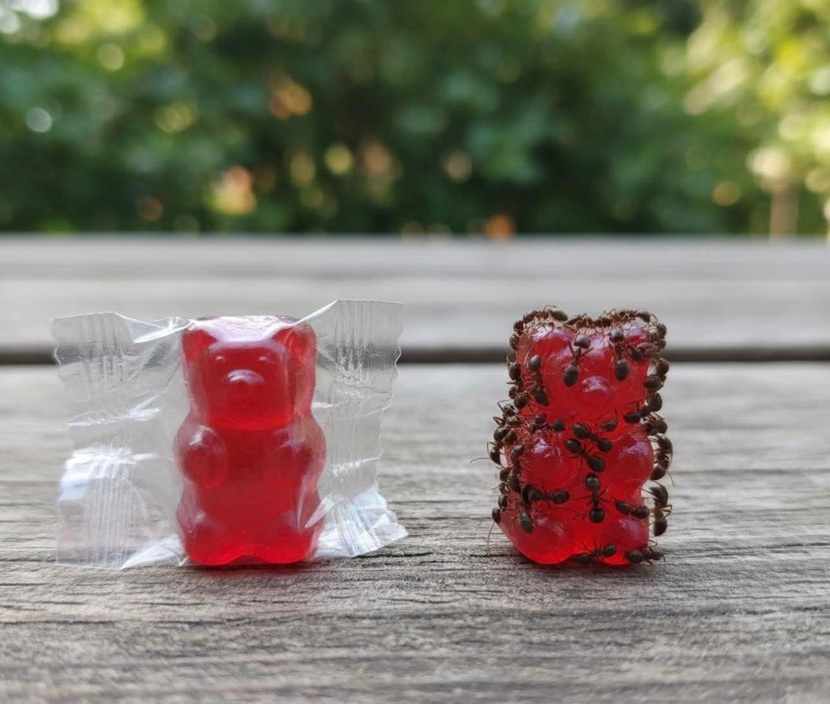 Bandidosfrases's tweet image. La privacidad es poder.
Lo que la gente no sabe, no lo puede arruinar.