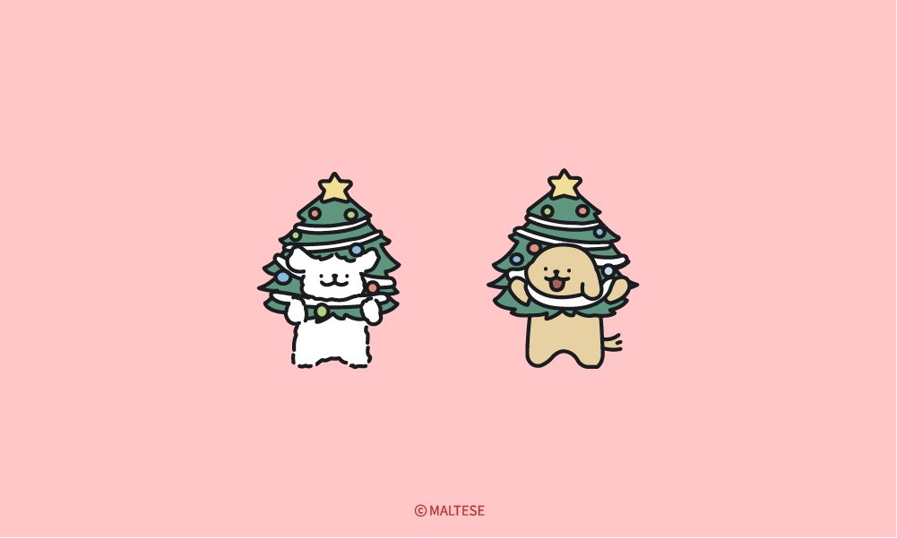 maltese_jp's tweet image. お部屋に置いて🎄