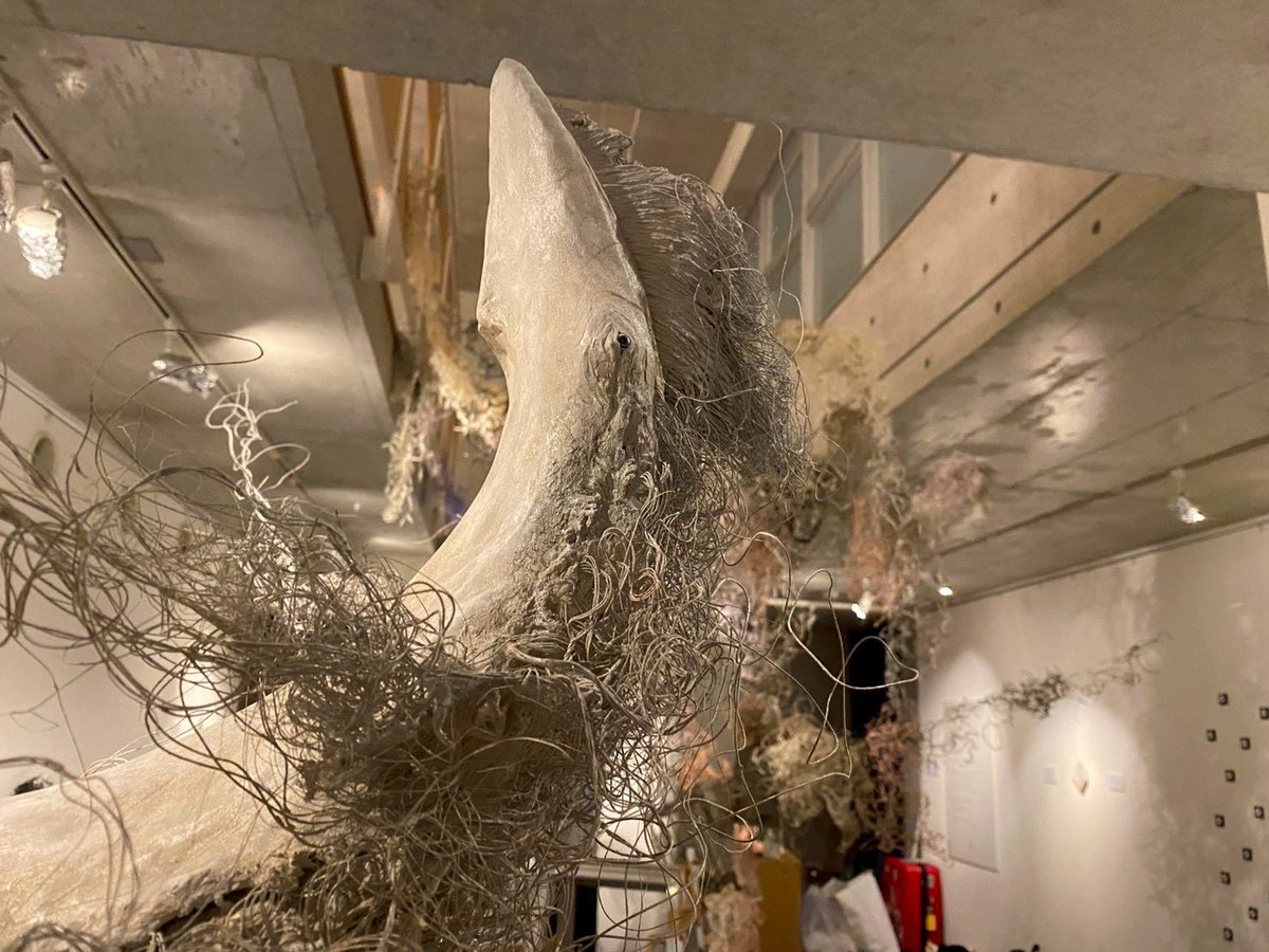 植田明志 (@aki_shi_) / Posts / X