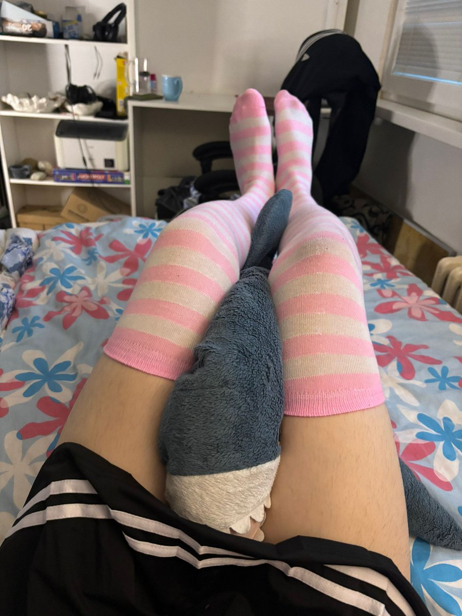 sillyguy7676's tweet photo. Someone come and take his place please 🥺 
#femboy #twink #blahaj https://t.co/lbb675Cktj