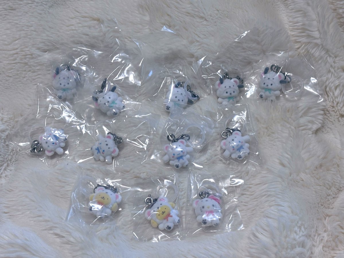 r5_asi's tweet photo. 【交換】サンリオ　めじるしアクセサリー ふわふわスノー

譲▶︎ポチャッコ5 シナモン4 ポムポムプリン2 キティ1

求▷マイメロ

・郵送

検索からでもお気軽にお声掛けください🌷 https://t.co/qeSRGBWJ8z