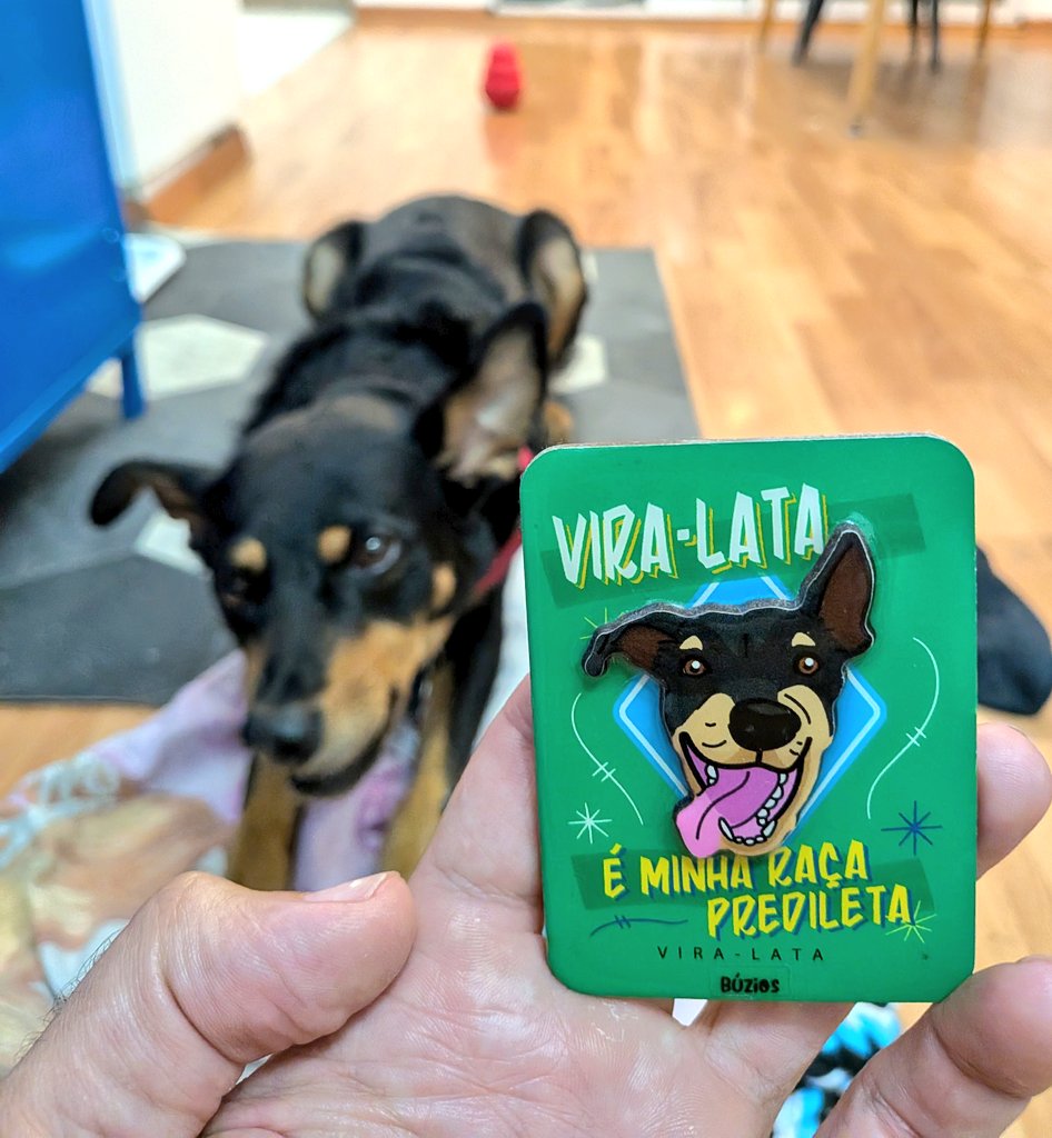 El holotipo de perro