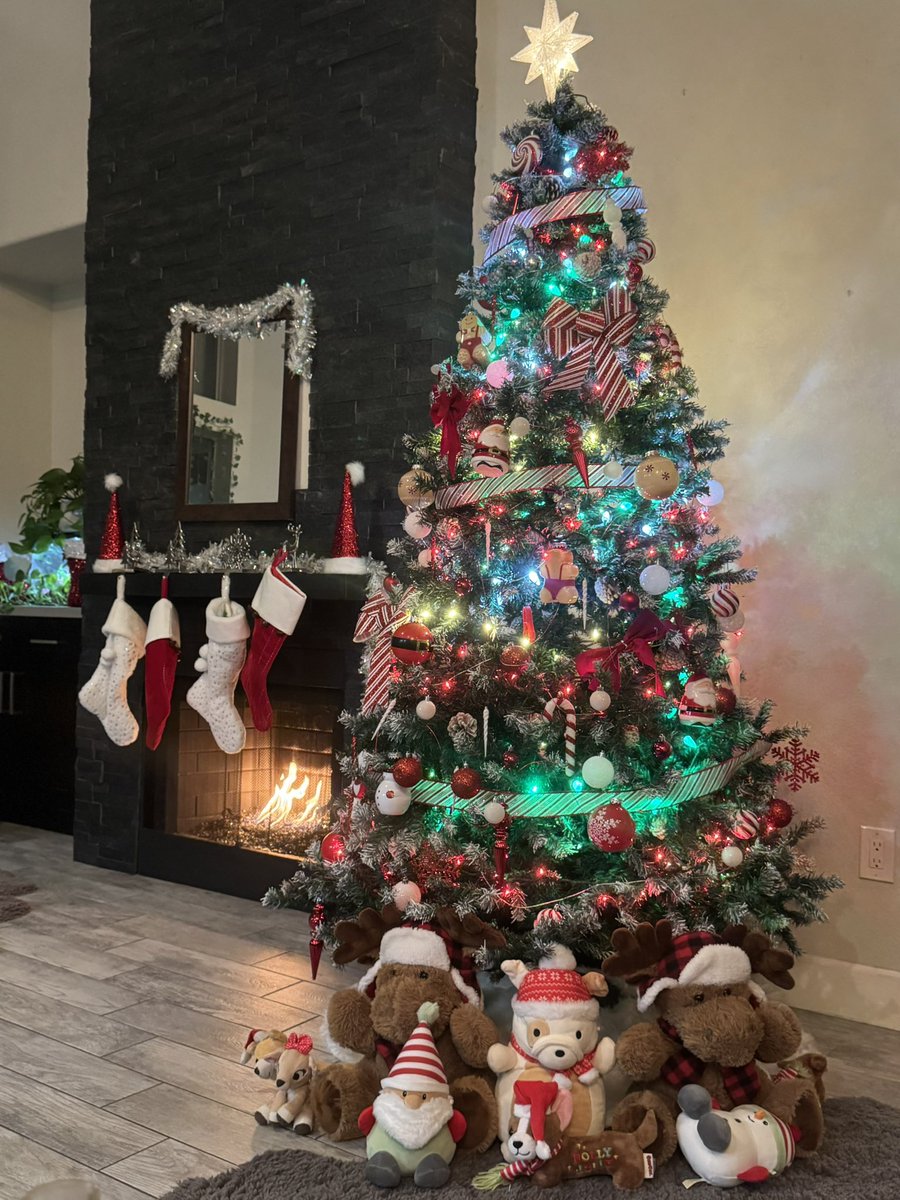 Christmas vibes 🎄🔥