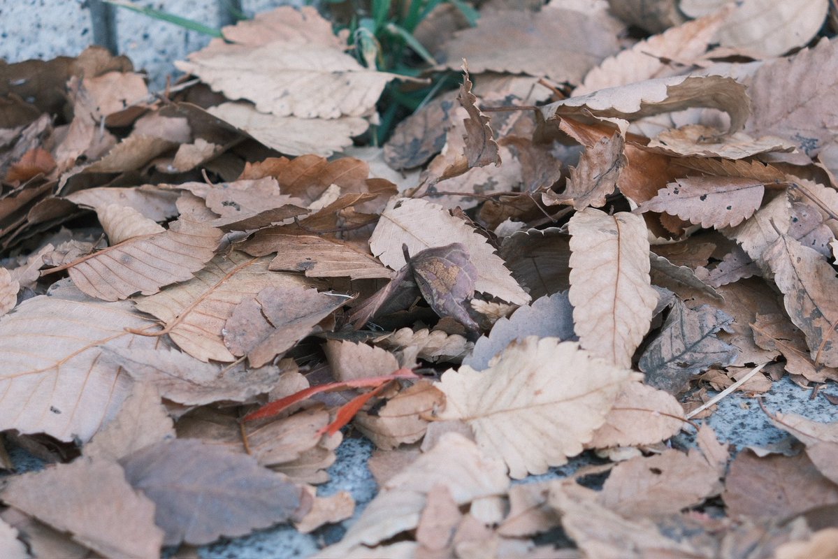 網 (@8saki) / Posts / X