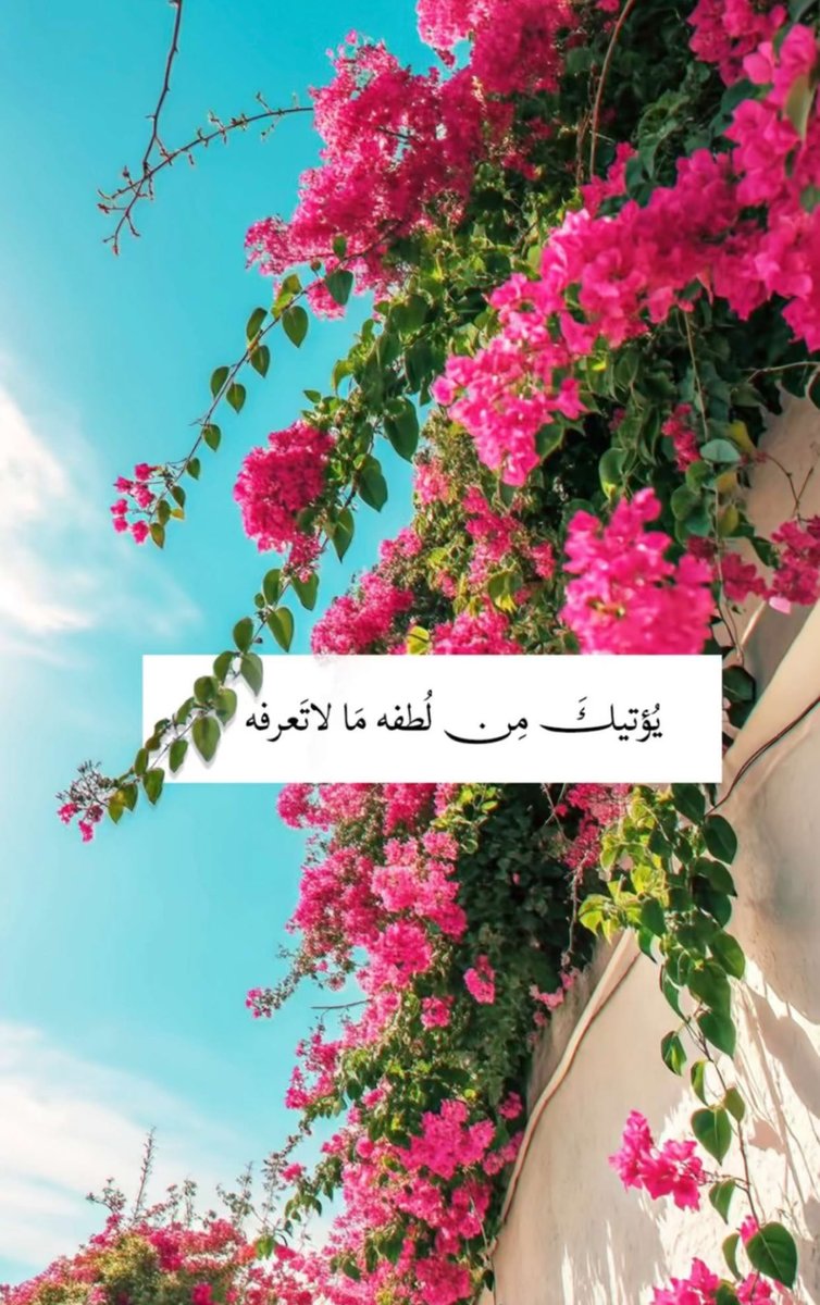 Doctorah_Hind tweet picture