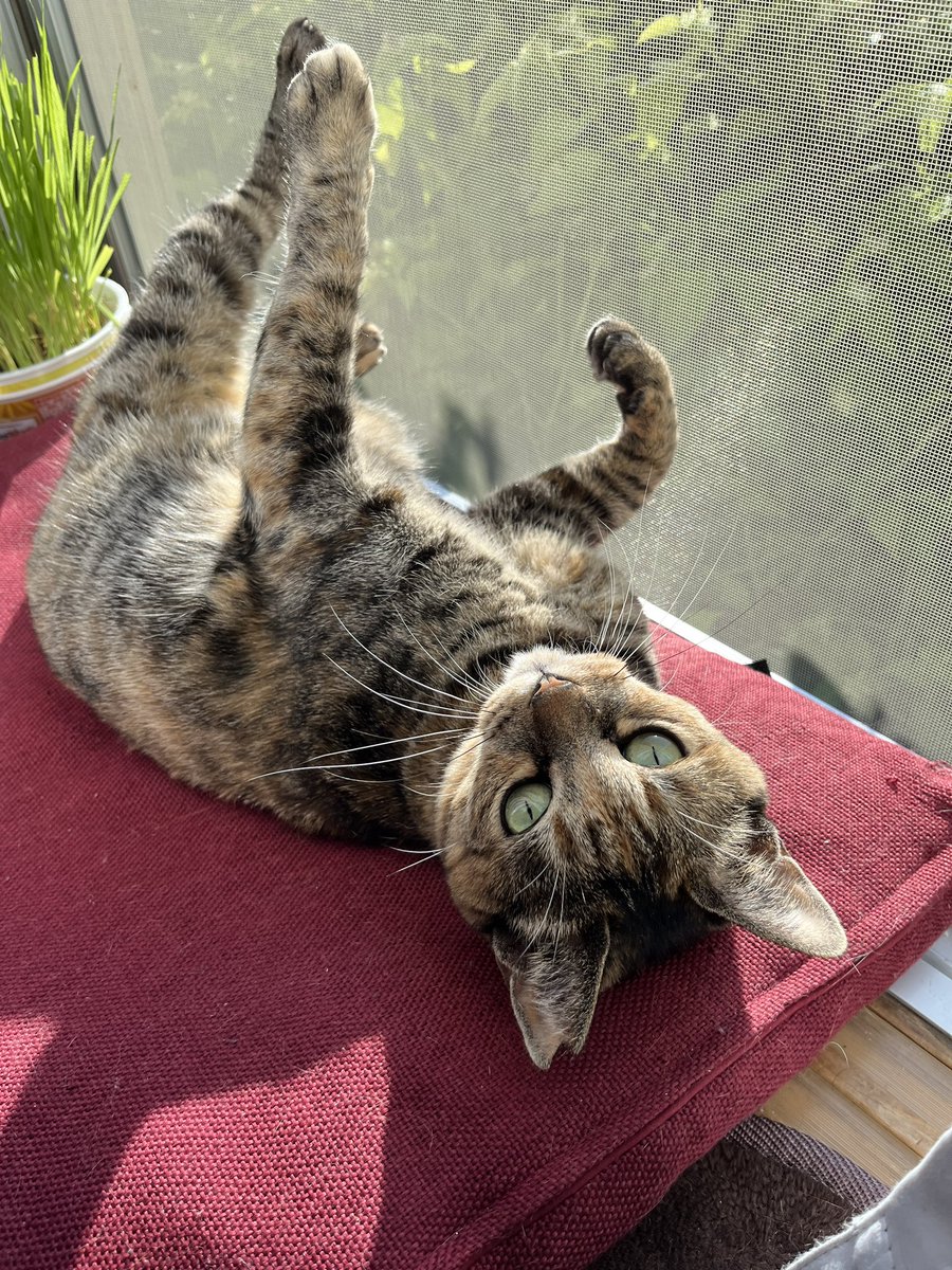 日向ぼっこのお誘い