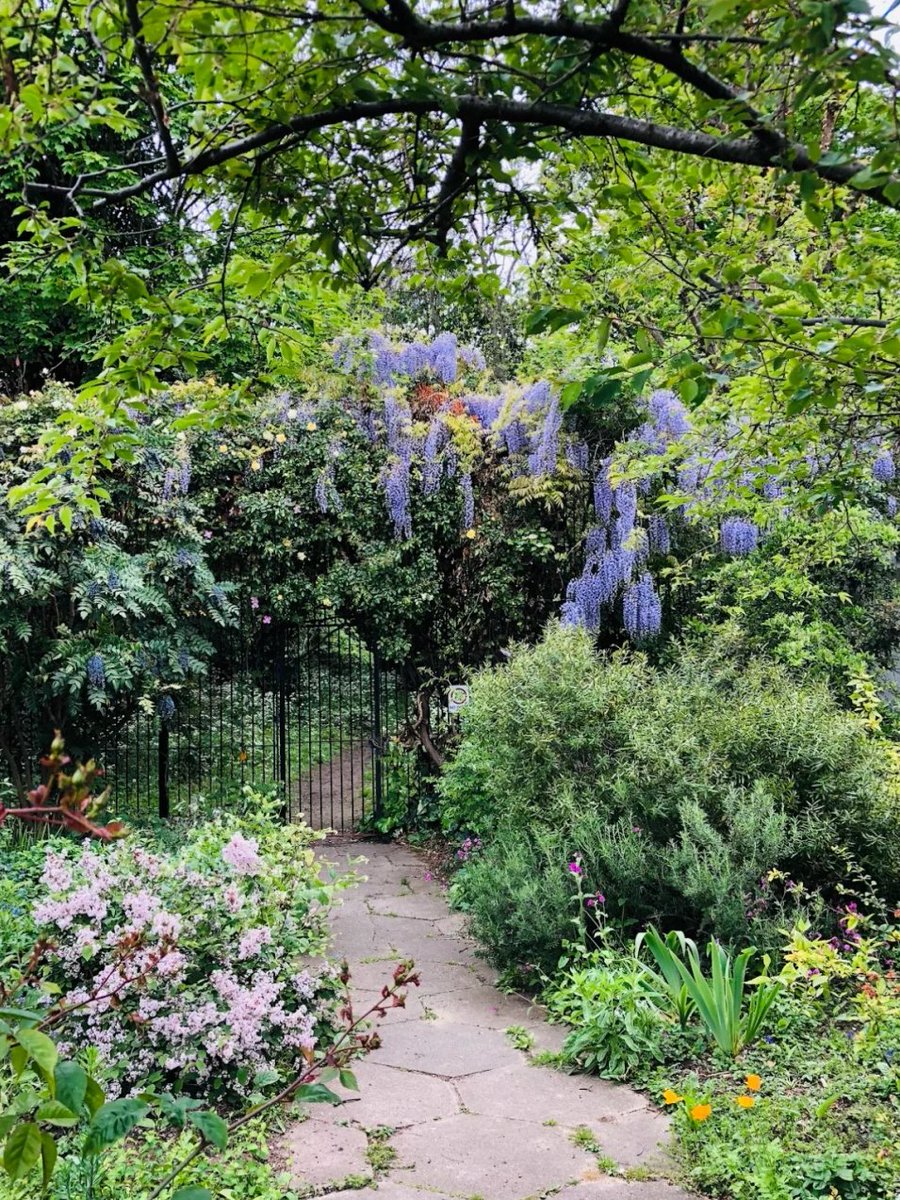 🇬🇧London Travel | Hidden Gems in Parks 💖😚