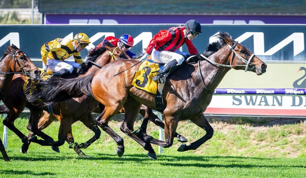 Michael Lane Racing tweet media