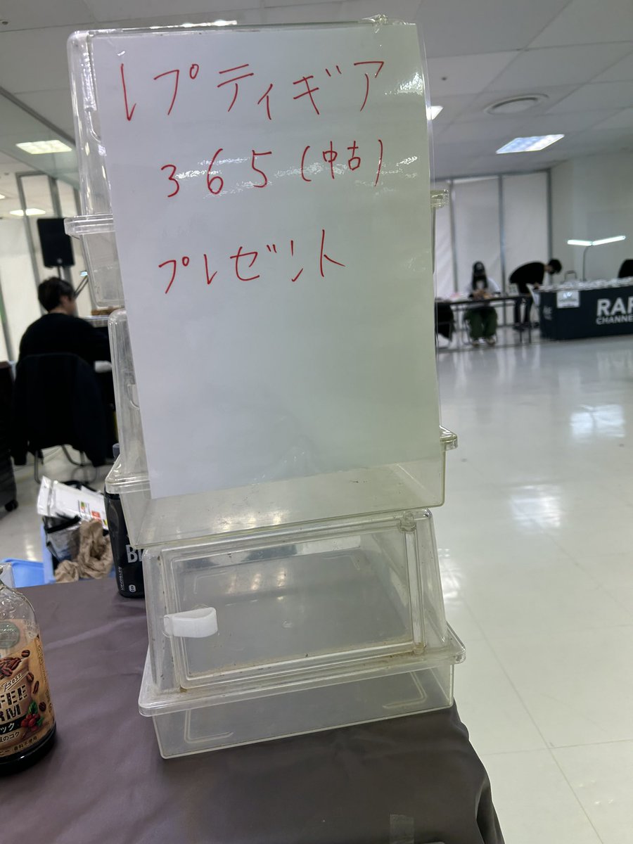 leopalabo's tweet image. じつはロコマケでてます。これあげる。