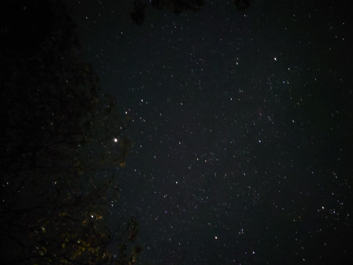 先週は久々の冬キャンプでしたが、
間違って広葉樹の薪を買っちゃったり、
深夜にイノシシがテントの周りを徘徊して生きた心地がしなかったり、
色々ありましたけど楽しめました(￣▽￣)

冬シーズン中にもう一回くらいは行きたいなー！🏕️