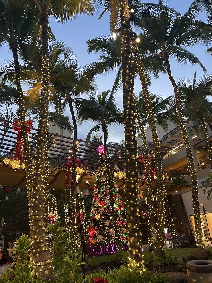 Aloha Kakahiaka🌴 ハワイではあちこちでクリスマスデコレーションやら