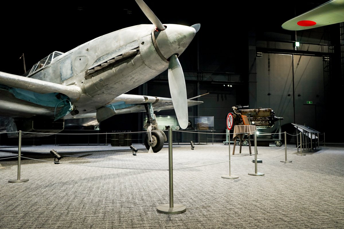 もっちーオーダーページ オーダーメイドシェラカップ(4個以上送料無料) | 町の彫刻屋