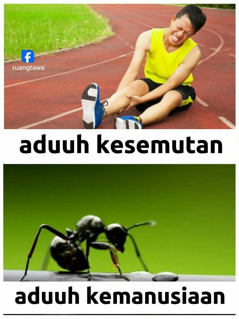 Ketawa itu GRATIS 🛩 tweet media