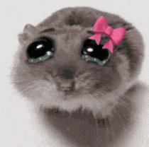 eimajunknown tweet media