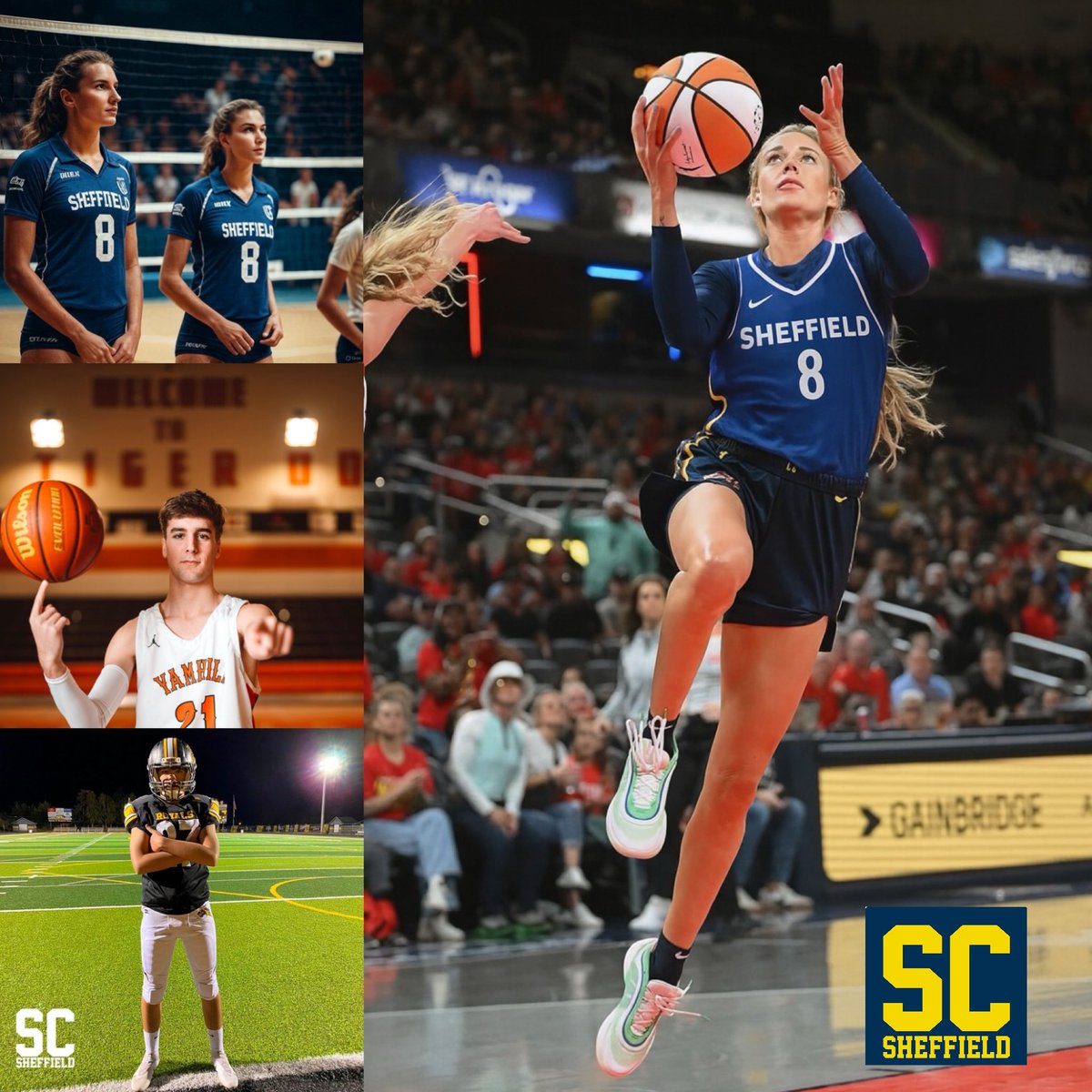 Sheffield (Idiomas) tweet media