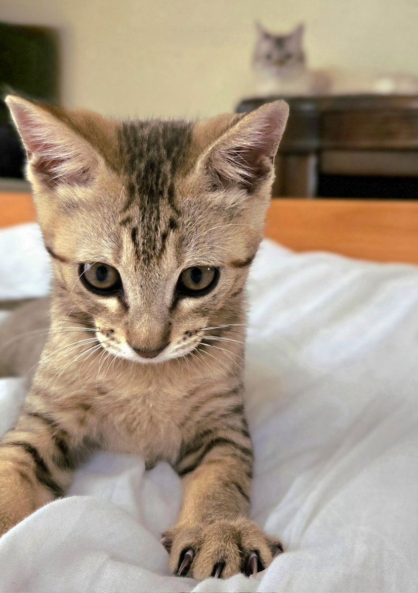 まるママ (@maruchannel0820) / Posts / X