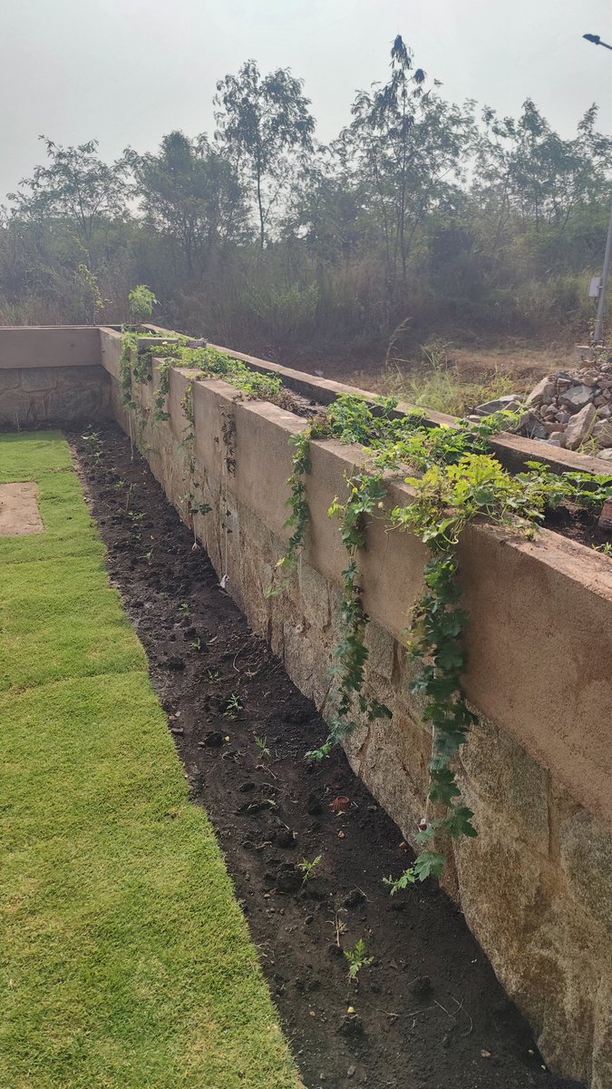 Divesh Bhal tweet media