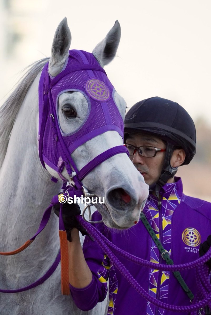 しっぷ-ˏˋ 🖤🐴 ˎˊ- (@shipuu_) / Posts / X