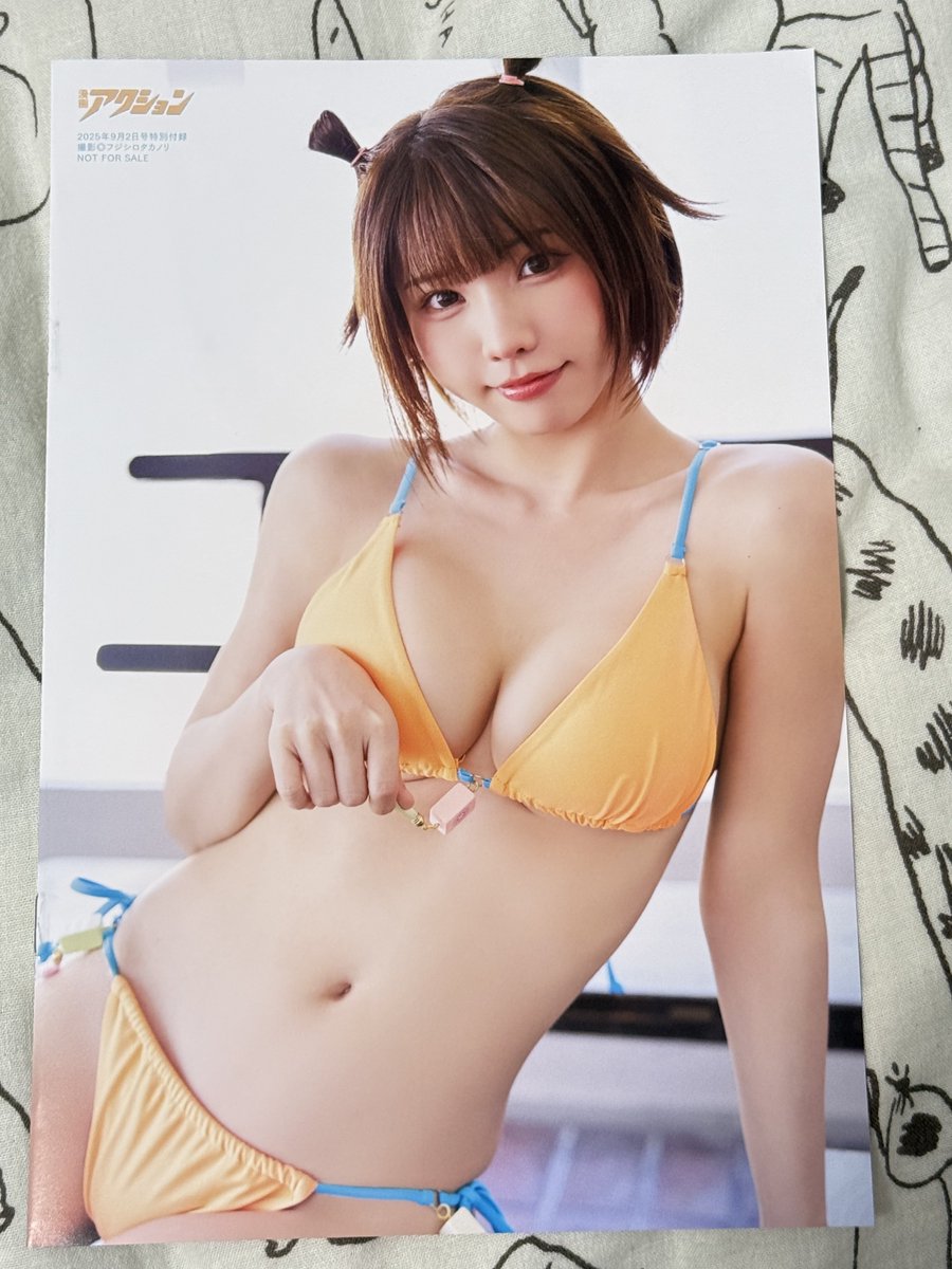 友人からのお土産。えなこの小冊子と小クリアファイル（10月岩手遠征