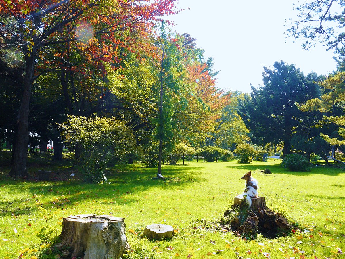 うさ＊時々かえたん tweet media