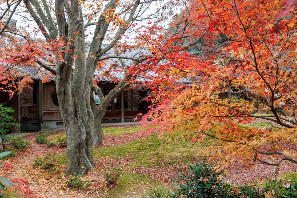 やまちゃんトルツメ (@yamayama0316) / Posts / X