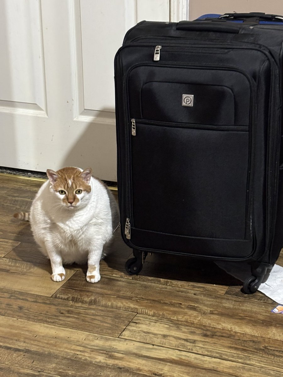 Starting Over tweet media