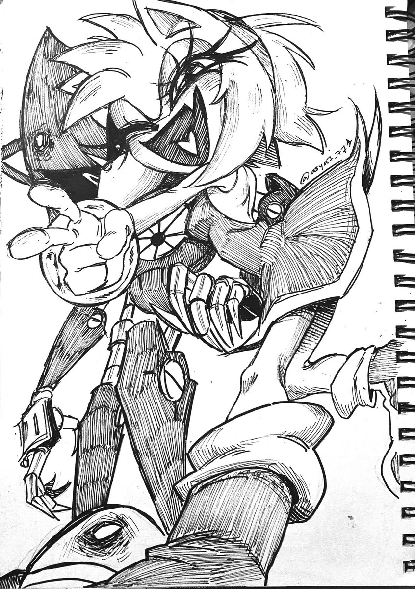 assiaallam58548's tweet photo. Btw her hand isn’t backwards, it’s from the other arm behind metal’s head (people on TikTok were confused)
#metamy #amyrose #metalsonic https://t.co/dnTKGACbLj