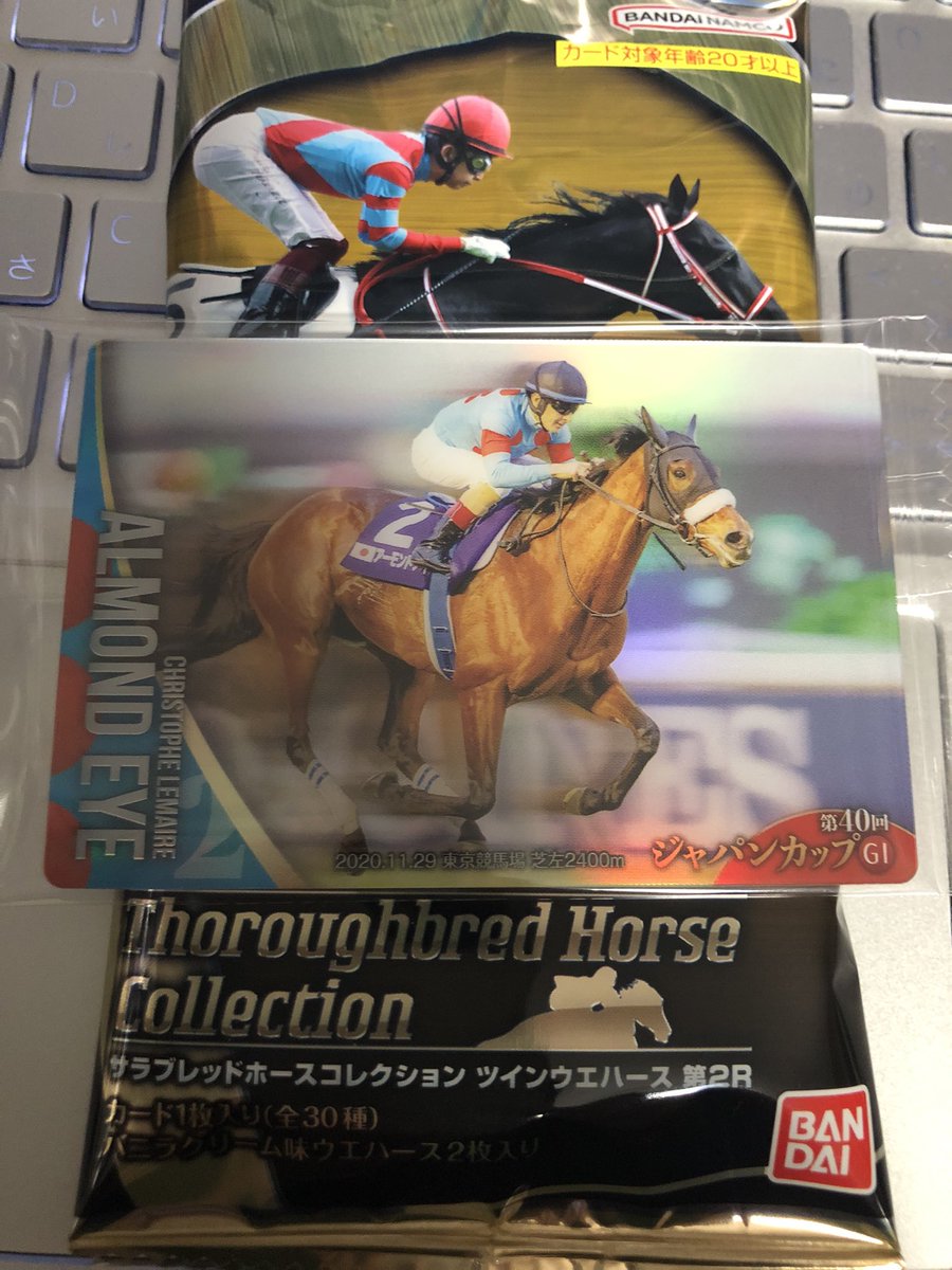 今日のサラブレッドホースコレクションはアーモンドアイさんでした。