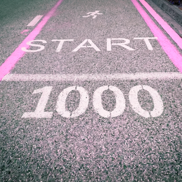 Rahorus_Prot's tweet photo. The Road to 1000 #Rahorus NFTs. And this is just the Start🛡 https://t.co/UaHKznYnVe