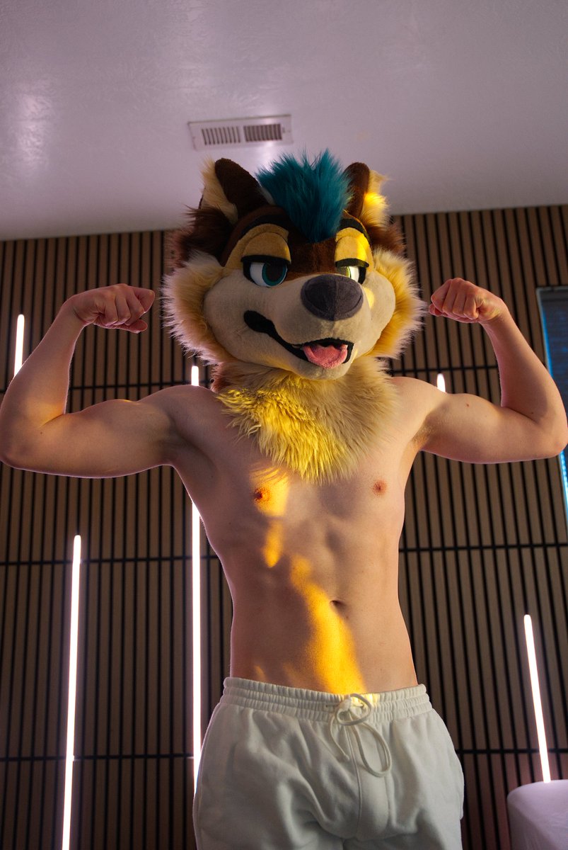 AlpineAskee 🔜 FWA tweet media