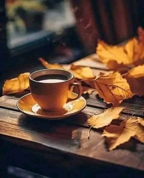 <a href="/N25_11O/">د.احمد البابلي</a> <a href="/azza_abdel85162/">a.a</a> <a href="/vkjha783/">Vinod Kumar Jha</a> <a href="/AAbrve/">عابر</a> <a href="/Ahlam04900191/">Ahlam</a> <a href="/Ahmed_Aboshhab/">أّحًمًدٍ🇮🇶_آلبــصـرآوي🇮🇶</a> <a href="/alahdalAm/">ali alahdal</a> <a href="/4kmwy7c9wCjiJHQ/">محمد محمد</a> صدق  والله 

صباح  رقيق
كالحرير
وحروف بسيطة 
تحمل في طياتها
كل الحب  🌷🌷
صباحكم  كلمات
من السعادة
تزهر معها
قلوبكم الجميلة..♥🎼🤍🌸

#قروبات_البابلي_للاضافات