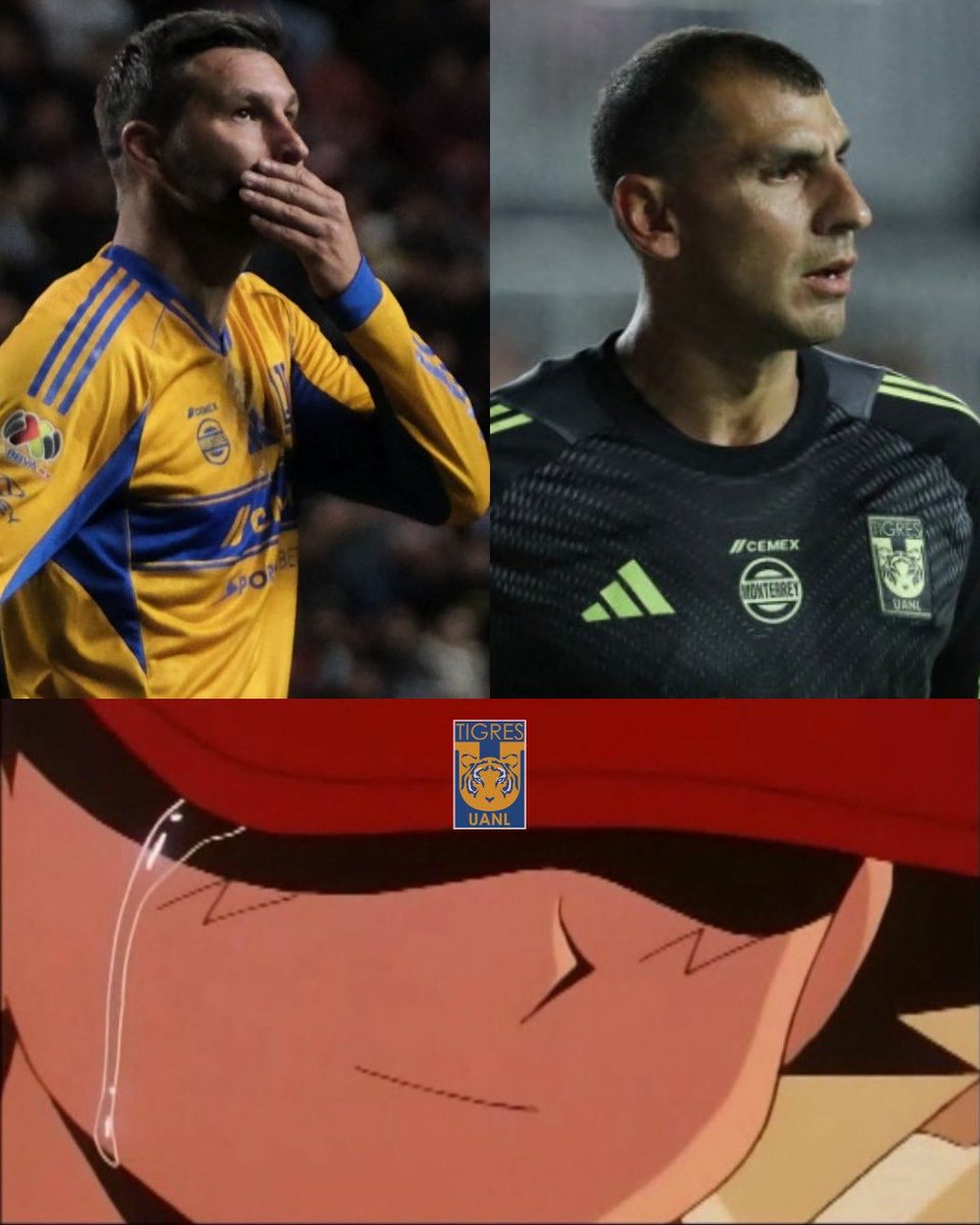 No llores porqué terminará, sonríe porque sucedió