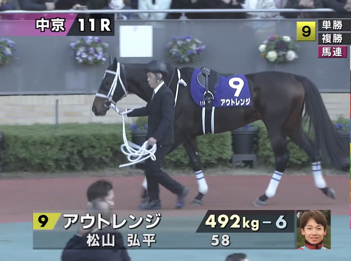 今週の「Winsight」パドック診断はチャンピオンズカップが対象！ 先週