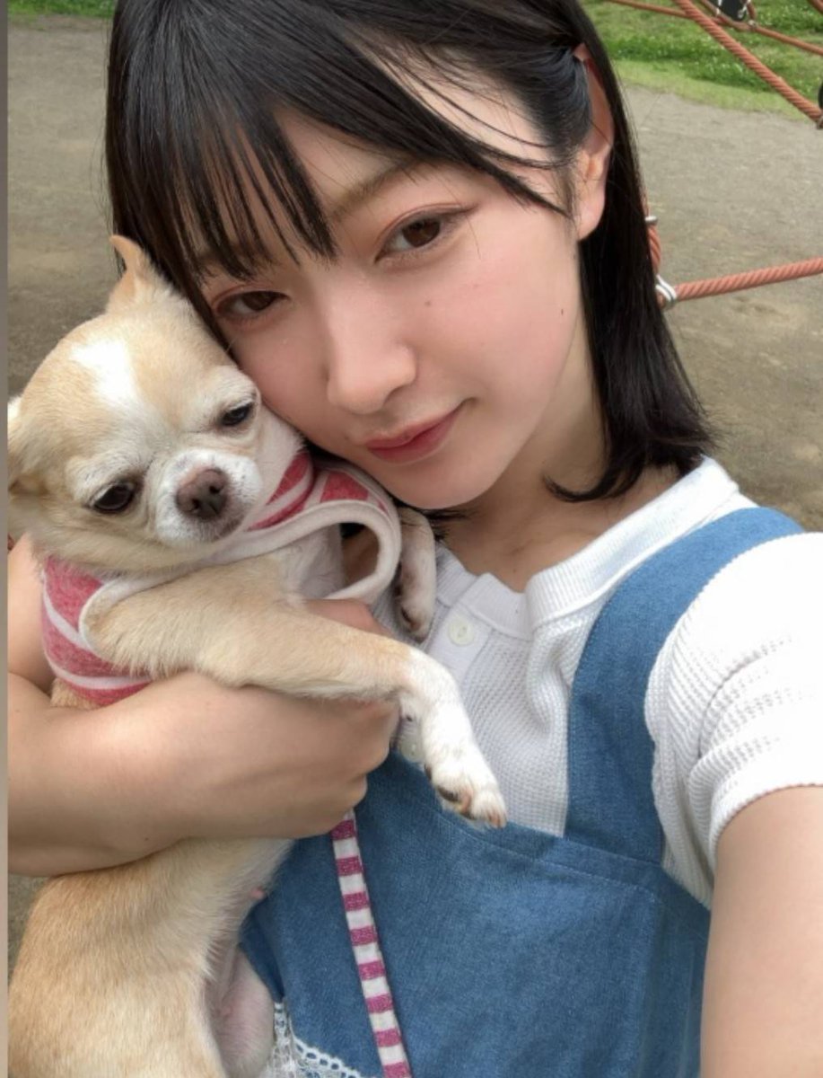 かんちゃん🐶🐶 (@kanchanx2) / Posts / X