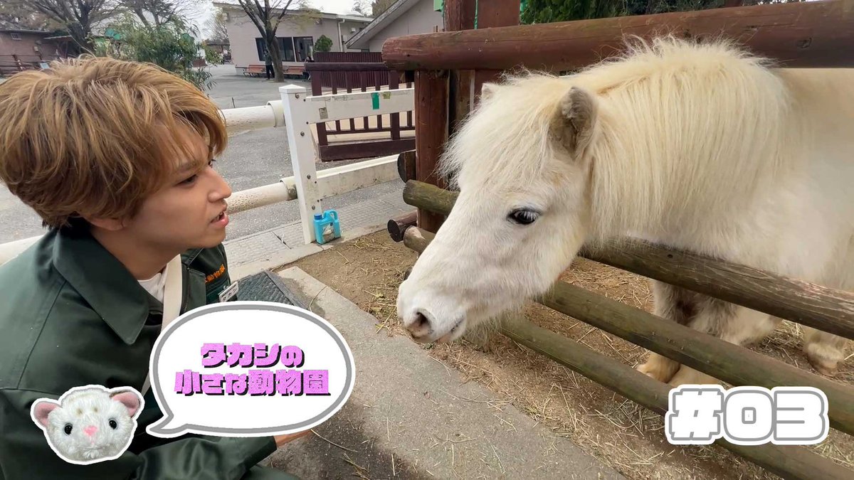 超特急 OFFICIAL (@sd_bt) / Posts / X