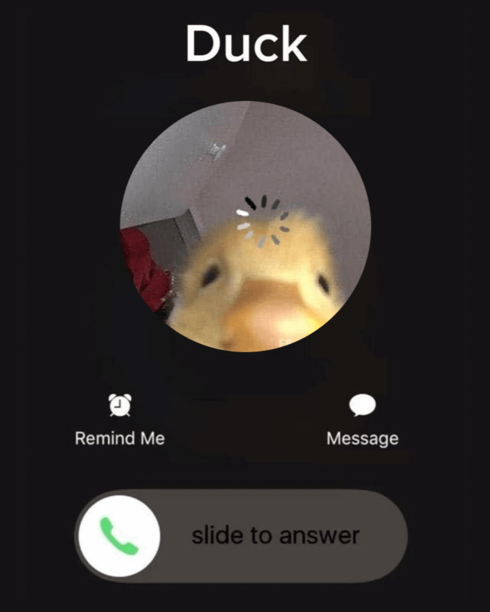 wallchain's tweet photo. Are you taking this call? https://t.co/yc1XIVGzOi