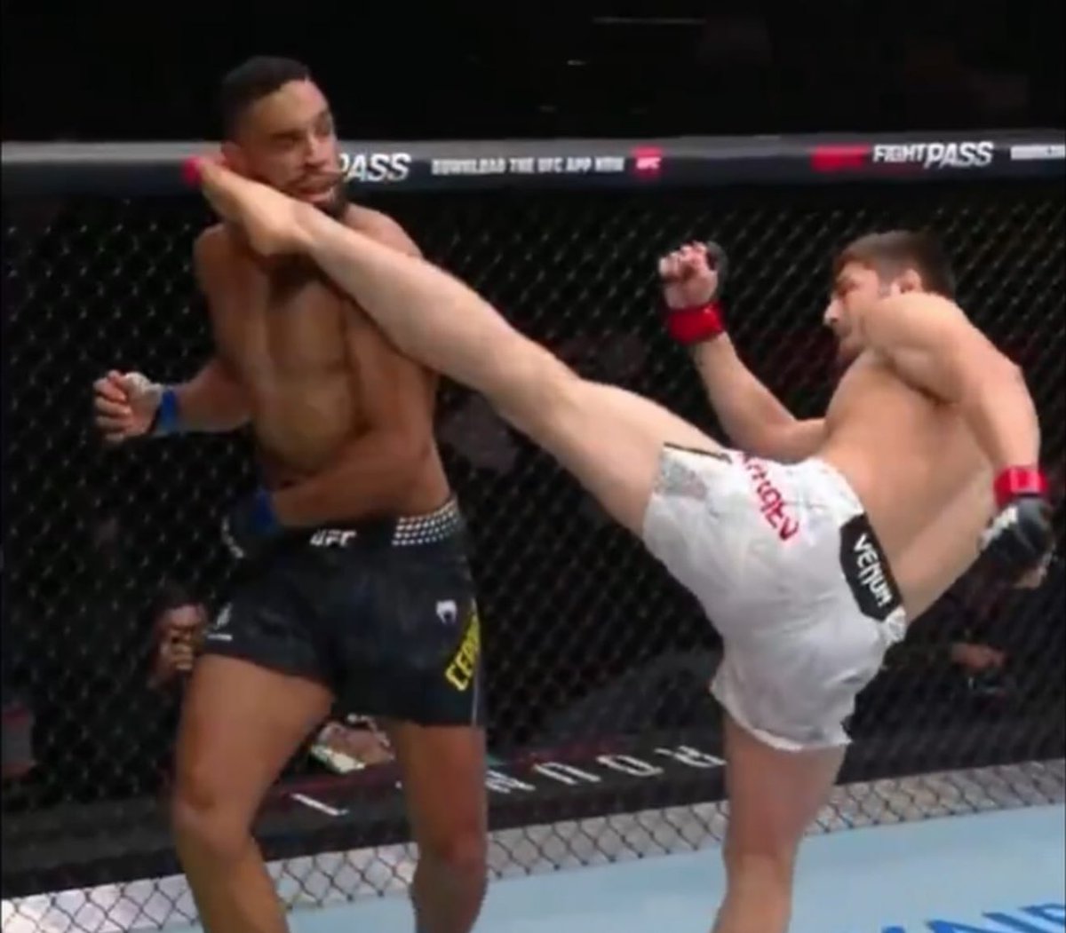 Sean Brady vekili tweet media