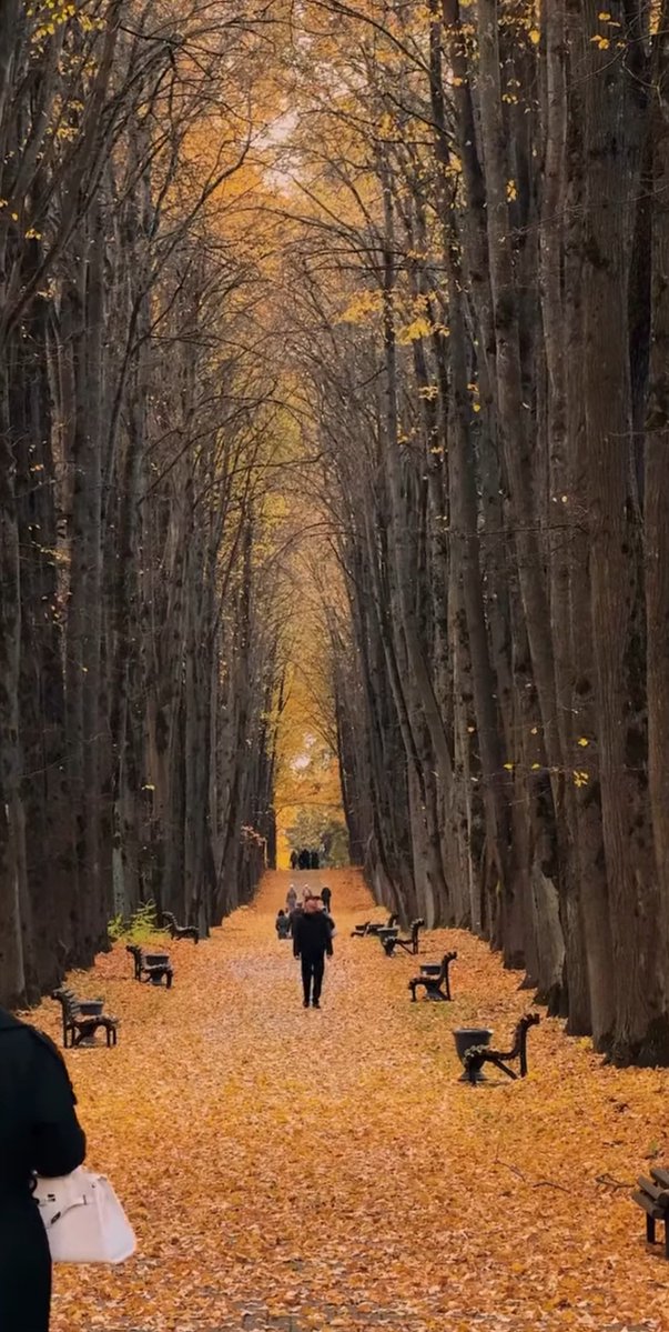 Yolun güzelliğinin, iyi insanlarla ilgisi vardı muhakkak ..

İyi insanlarla ve sevdiklerinizle, mutlu huzurlu pazar günü geçirmeniz dileğiyle...

Hayırlı sabahlar...😊
#Günaydın
☕🍂🍁🍂🤍🍀🕊🌸